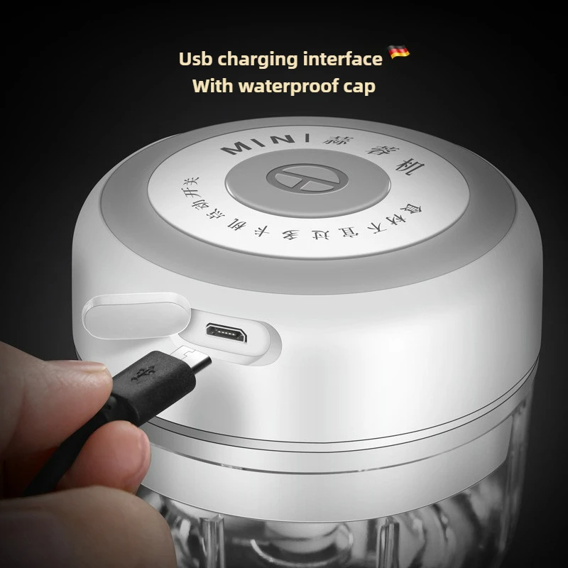 Electric Mini Garlic Chopper 1 - Baby Food Vegetables recension och pris
